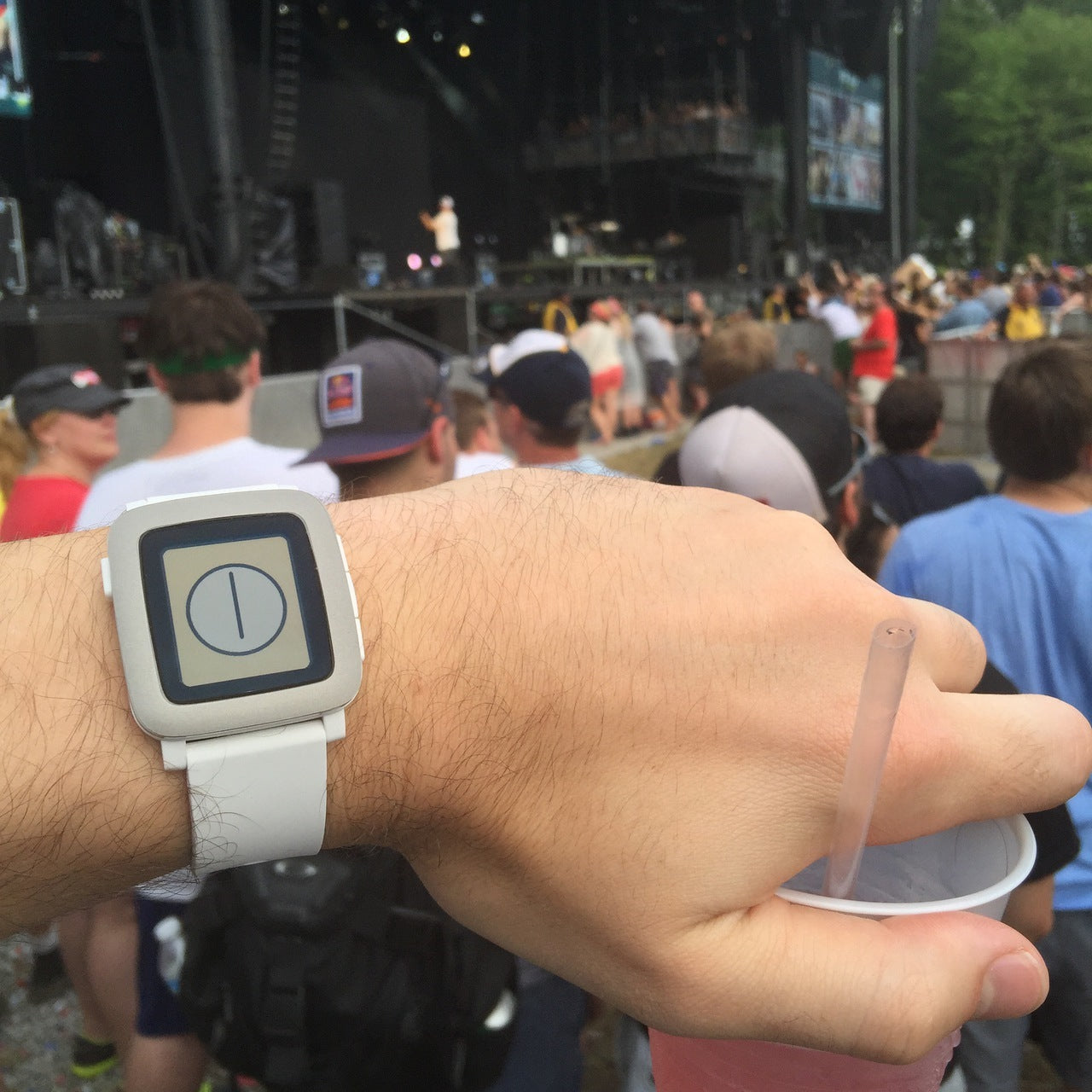 Pebble Time Matte Clear Bezel Skin